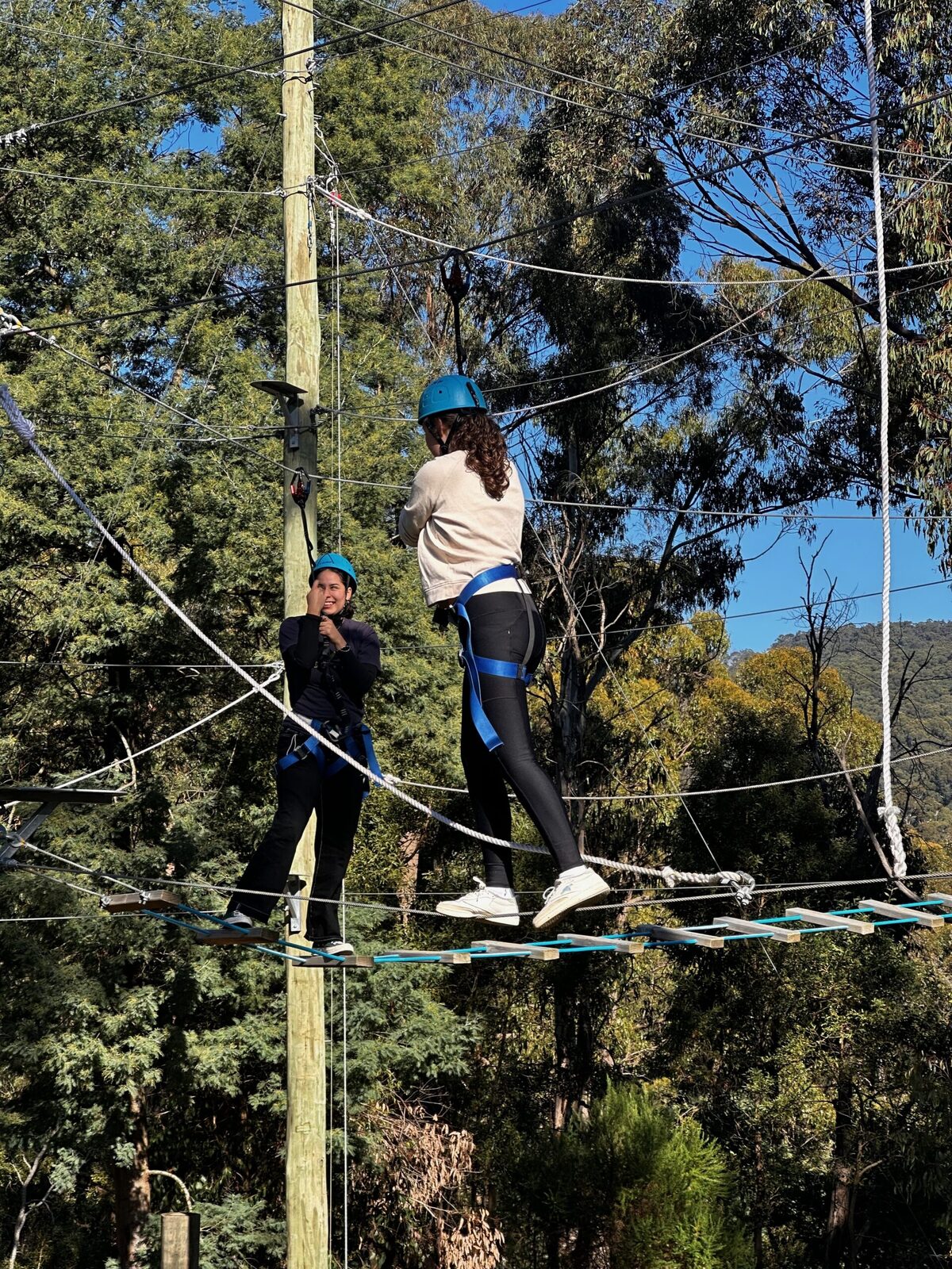 Students on the high ropes course during a school camp at Oasis Camp