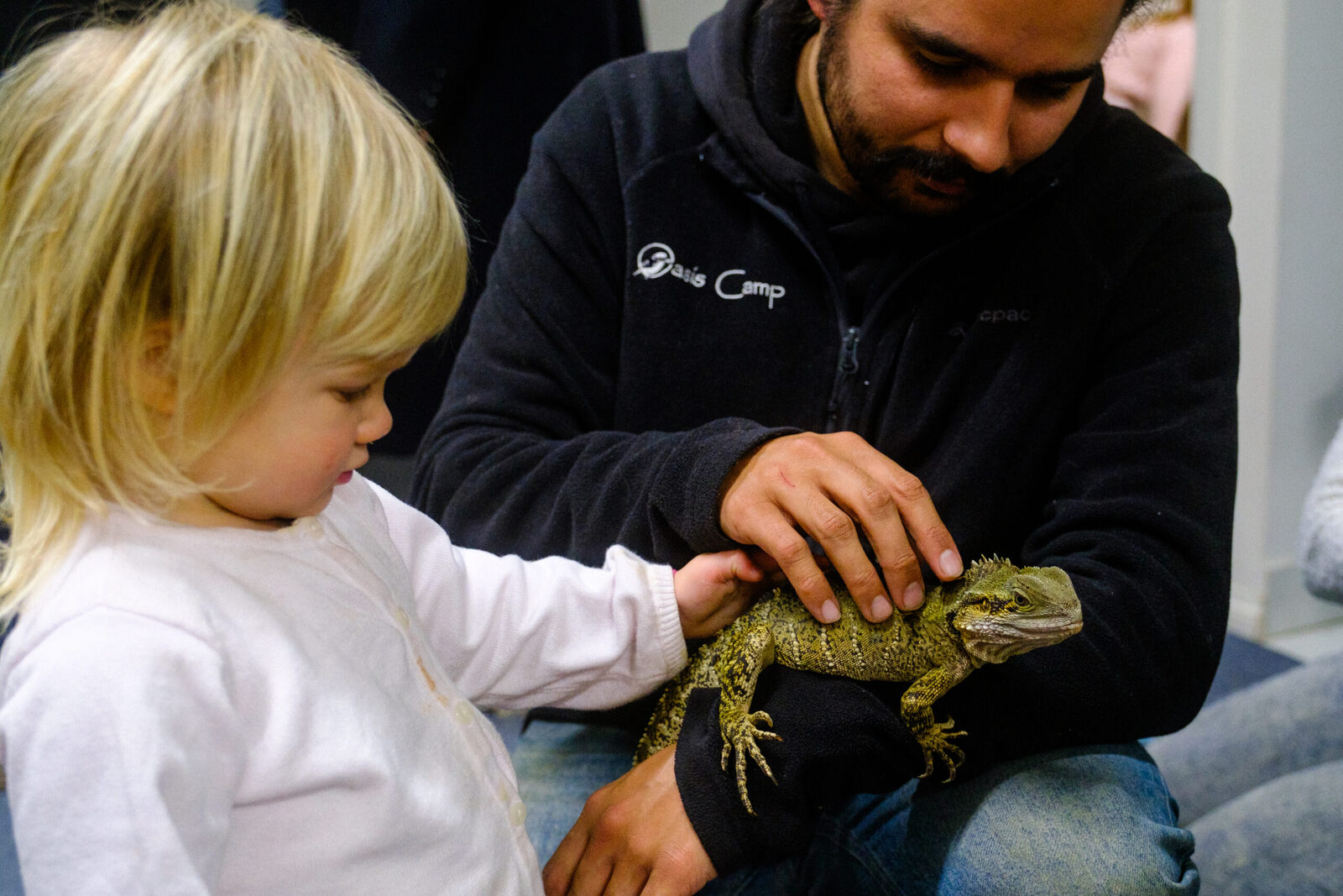 A reptile handling session
